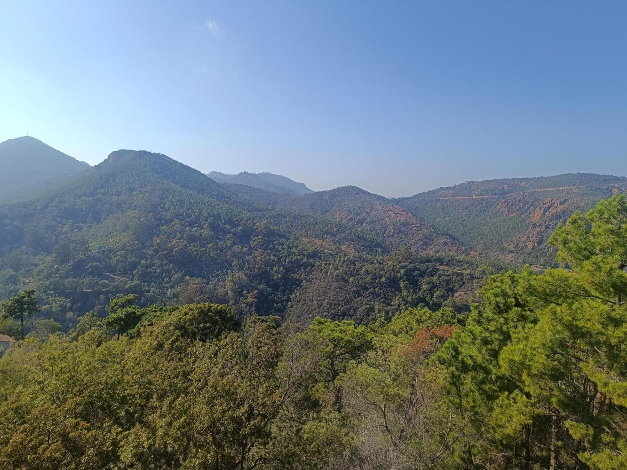 Magnifique Vue Mer Et Piscine - Les Cles De L Esterel Théoule-sur-Mer Εξωτερικό φωτογραφία