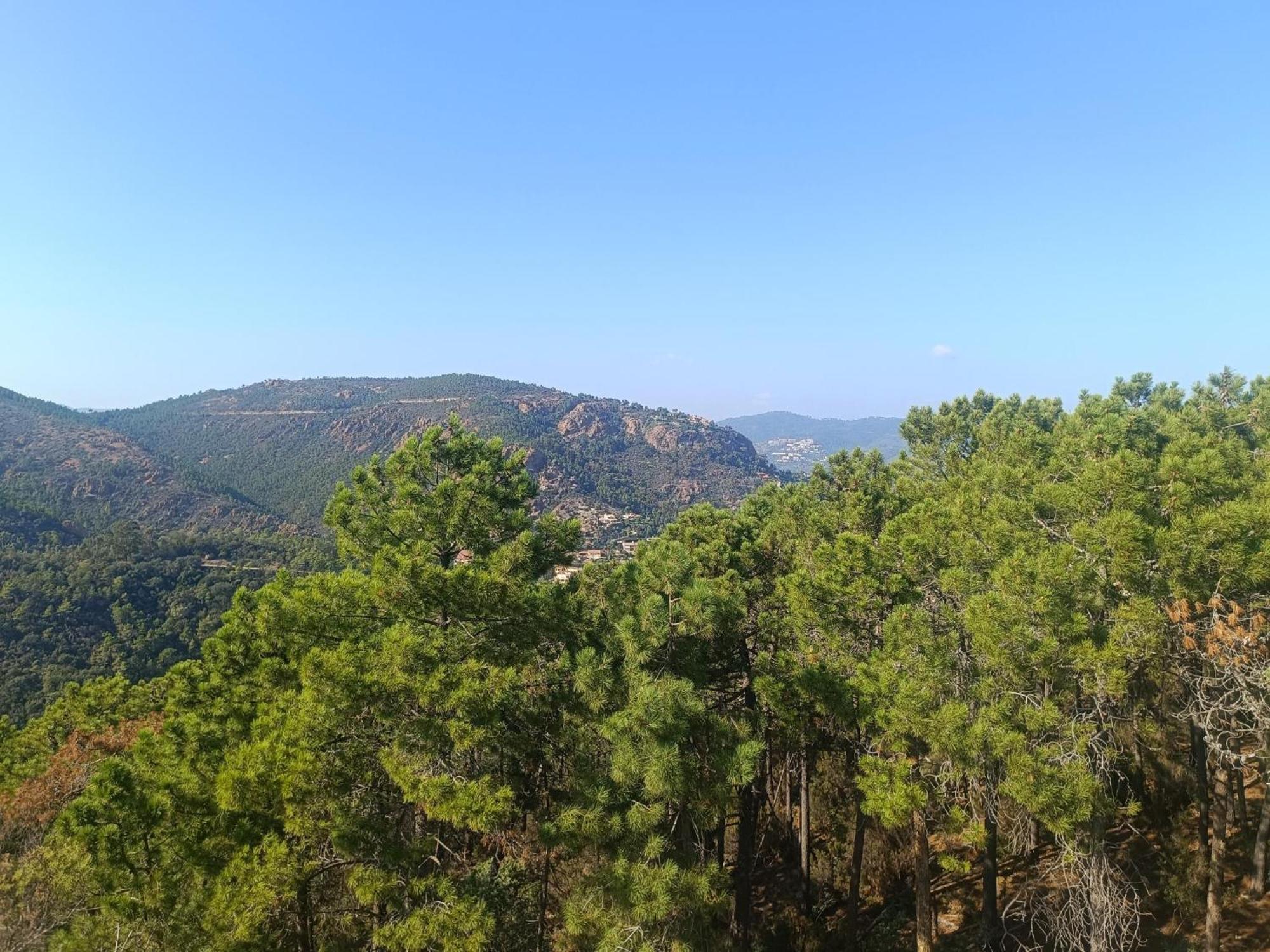 Magnifique Vue Mer Et Piscine - Les Cles De L Esterel Théoule-sur-Mer Εξωτερικό φωτογραφία
